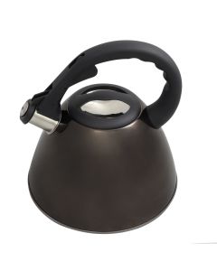 Mr. Coffee Clarendon 2.6 Qt Stainless Steel Tea Kettle in Gunmetal Metallic